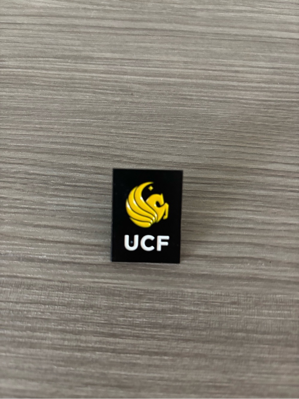 UCF Lapel Pin